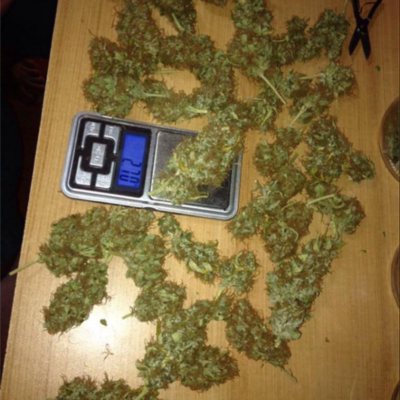 Dr. Grinspoon Dr. Grinspoon