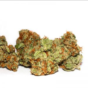 Vrste marihuane - Super Silver Haze